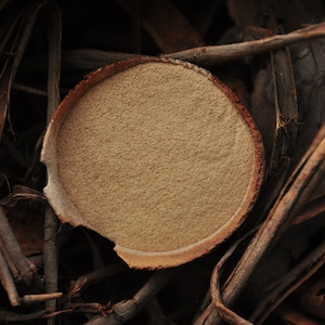 Walnut Husk Powder For Deep Brown Shades. 50 g - 200 g