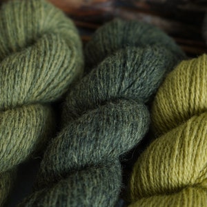 Plant Dyed Fingering Weight Wool Yarn Box in Gradient Earthy Green Shades , 150 grams image 5