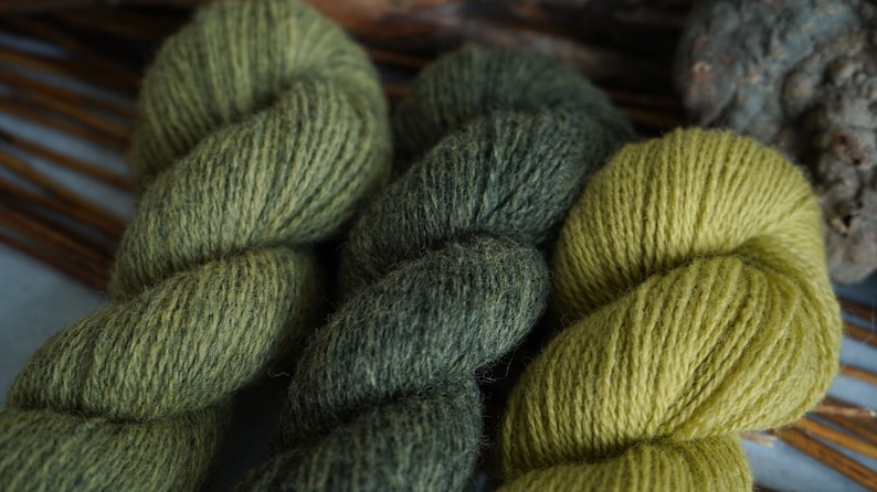 Plant Dyed Fingering Weight Wool Yarn Box in Gradient Earthy Green Shades , 150 grams imagem 5