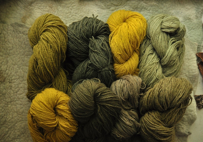 Goldenrod Natural Dye Yellow and Green Plant Dyes Etsy