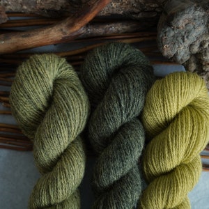 Plant Dyed Fingering Weight Wool Yarn Box in Gradient Earthy Green Shades , 150 grams image 4