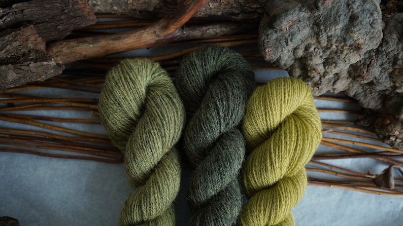 Plant Dyed Fingering Weight Wool Yarn Box in Gradient Earthy Green Shades , 150 grams image 4