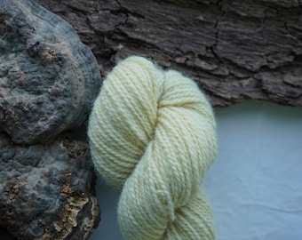 Naturally Dyed Light Yellow Wool Yarn In Worsted Weight / Plant Dyed With Weld