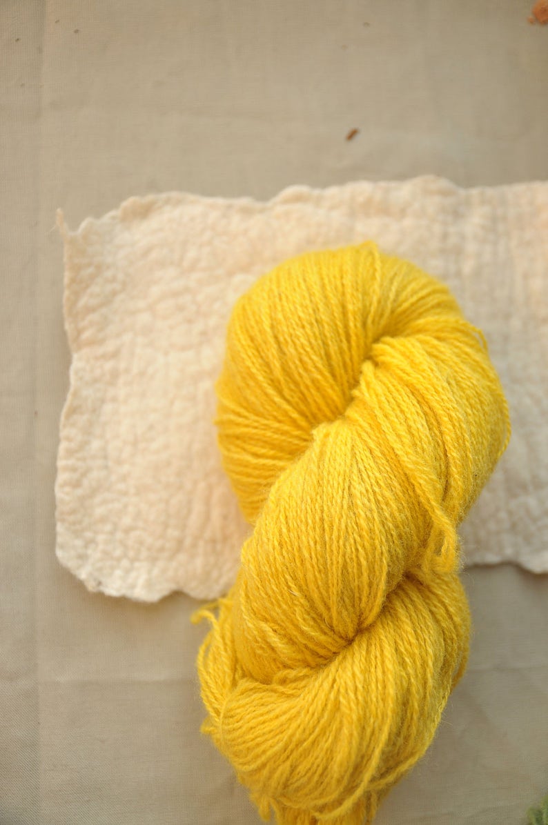 Plant Dyed Wool Yarn In Bright Lemon Yellow Color Weld Dyed Etsy