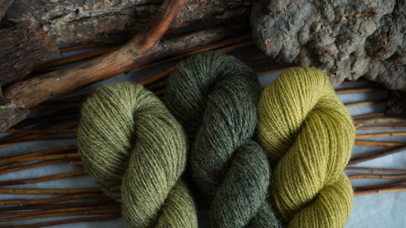 Plant Dyed Fingering Weight Wool Yarn Box in Gradient Earthy Green Shades , 150 grams imagem 2