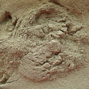 Barberry Botanical Dye For Yellow Colors / No Mordant Natural Dye