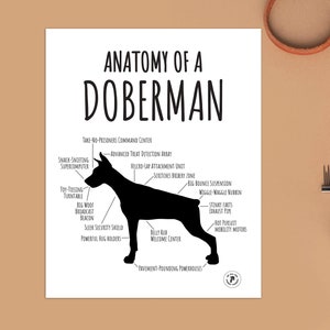 Doberman Print, Dog Fun Cute Anatomy Chart, Breed Funny Poster Wall, Picture Home Decor Pet Owner Gift, DIGITAL FILE ONLY
