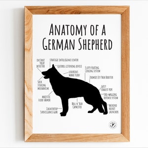 German Shepherd Print, Dog Fun Cute Anatomy Chart, Breed Funny Poster Wall, Picture Home Decor Pet Owner Gift, DIGITAL FILE ONLY