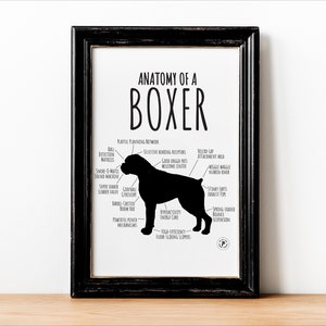 Boxer Dog Print, Dog Fun Cute Anatomy Chart, Breed Funny Poster Wall, Picture Home Decor Pet Owner Gift, DIGITAL FILE ONLY