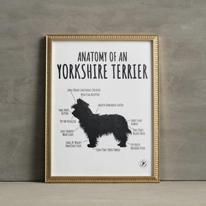 Yorkshire Terrier Druck, Hunde Spaß niedlich Anatomie Diagramm, Rasse lustige Poster Wand, Bild Wohnkultur Haustier Besitzer Geschenk, NUR DIGITALE DATEI