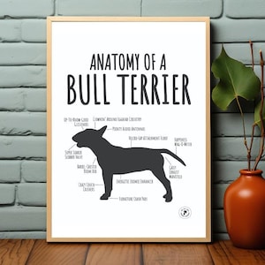 Bull Terrier Print, Dog Fun Cute Anatomy Chart, Breed Funny Poster Wall, Picture Home Decor Pet Owner Gift, DIGITAL FILE ONLY