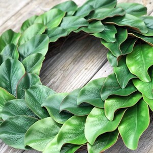 Large 22-23" Magnolia Wreath, Farmhouse Wreath, Christmas Wreath, Everyday Wreath, Housewarming Gift, Mother's Day Gift, Christmas Decor