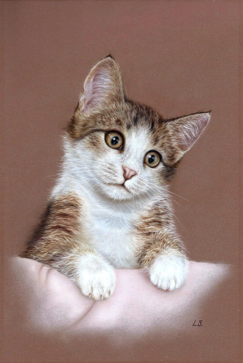etsy pet portraits etsy pet portraits