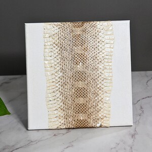 Può includere: Una tela quadrata bianca caratterizzata da una striscia verticale di pelle di serpente testurizzata, nei toni del marrone chiaro e crema, che corre lungo il centro. Il materiale in pelle di serpente presenta una distinta texture a scaglie sovrapposte.