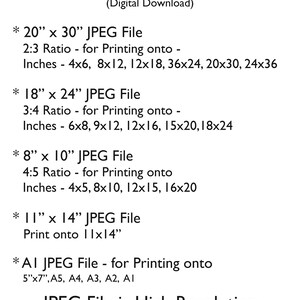 May include: A guide to different sizes for digital prints, including 20x30 inches, 18x24 inches, 8x10 inches, 11x14 inches, and AI sizes. The text states that the JPEG files are high resolution and 300PPI.