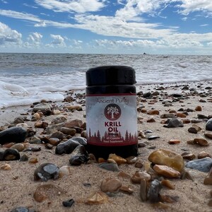 Puede incluir: Un frasco negro de aceite de krill, un suplemento alimenticio, sobre una playa arenosa con guijarros. La etiqueta dice "Ancient Purity" y presenta un gráfico de árbol. El fondo muestra el mar bajo un cielo azul nublado.