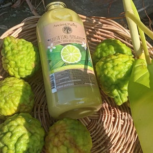 May include: A green glass bottle of Ancient Purity Kaffir Lime/Bergamot Living Food-Based Shampoo. The bottle is surrounded by green kaffir lime fruits in a woven basket.