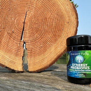 Synergy Probiotics 90 Caps | 7.5 Billion Peak-Harvested 10 Strain Microorganisms per capsule - 1 Daily Probiotic Capsule (No Refrigeration)