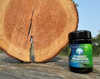 Probióticos Synergy 90 cápsulas / 7500 millones de microorganismos de 10 cepas recolectados en el punto máximo / Sin refrigeración