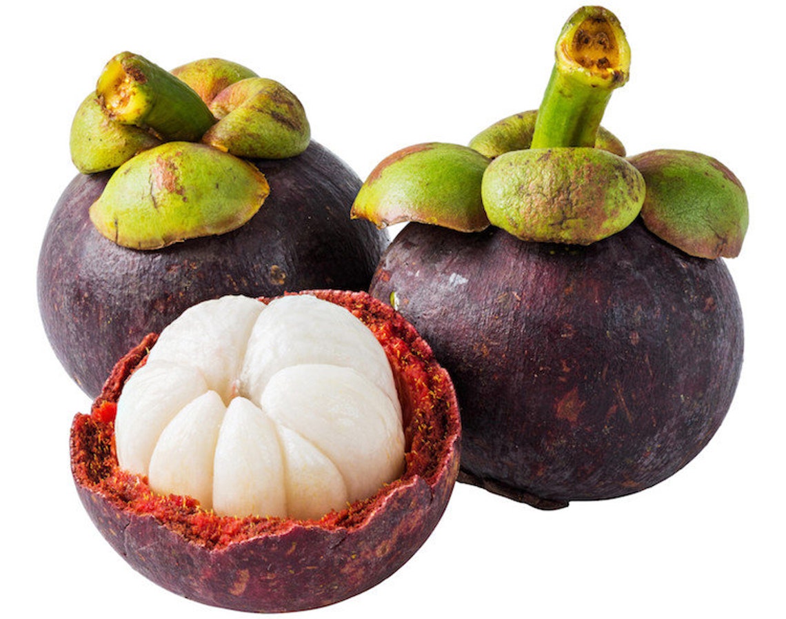 Mangosteen Powder 300g Etsy Canada