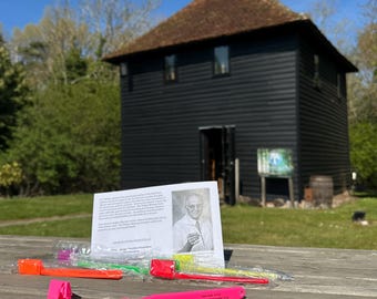 Blotting Brush - Price Pottenger | Dr. Phillips Technique - Original Authentic Precision Gum & Oral Care