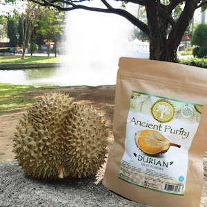 Durian Fruit - Powder (200g) King of Fruits / Superfood Rich in Nutrients & Healthy Fruit Fat / Delicious (From Thailand)