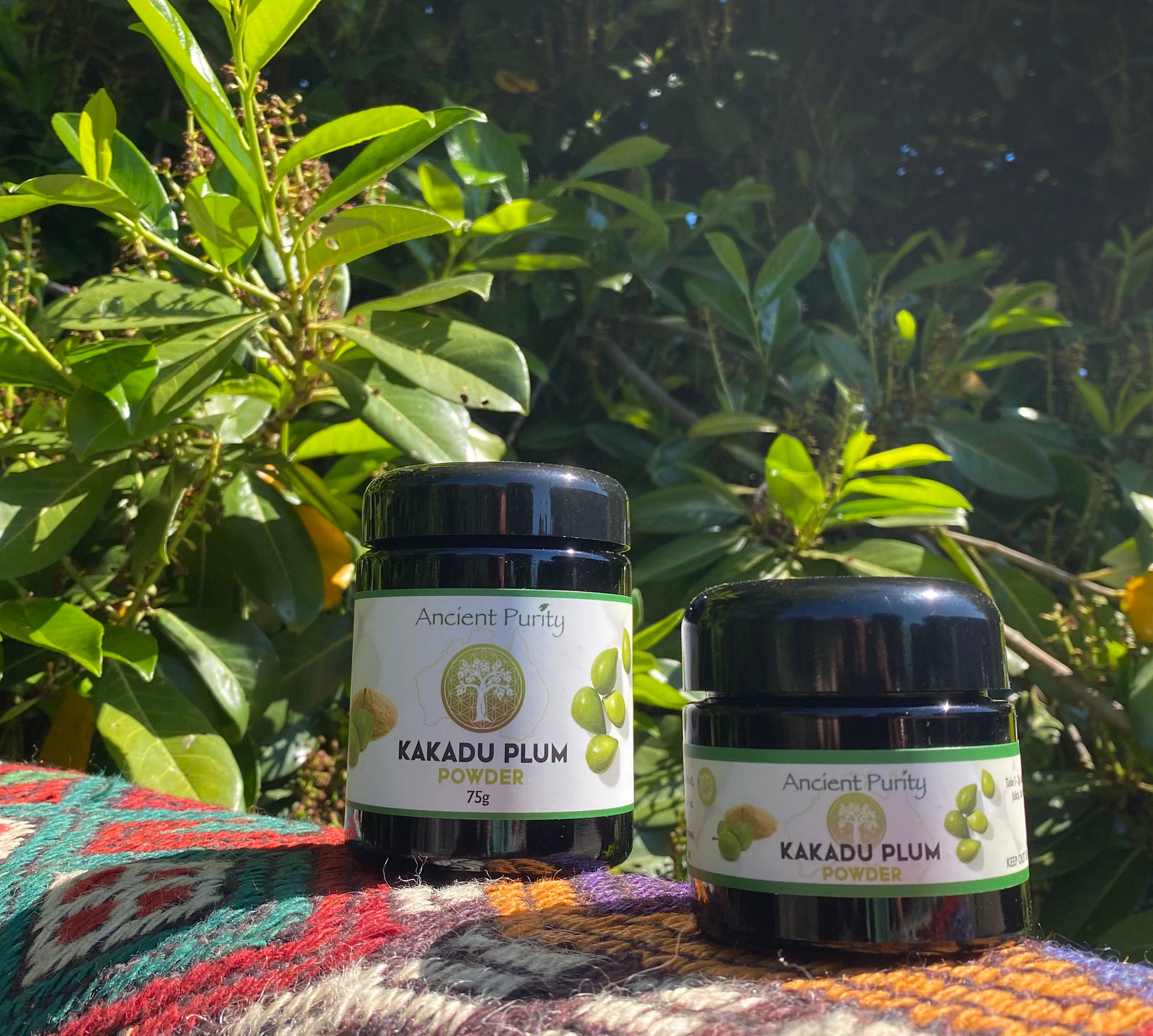 Kakadu Plum Powder 1 Food Source of Vitamin C in the World Etsy UK