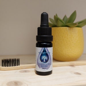 Mouth & Gum Essential Oil Blend - 10ml (0.33 fl. oz.) Oral Health / Wellbeing - Powerful Refreshing Oil Drops
