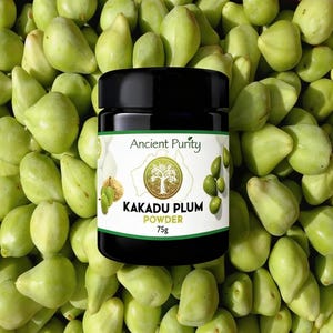 Kakaduplommonpulver, världens främsta livsmedelskälla för C-vitamin | Aboriginal Bush Superfood | Australien