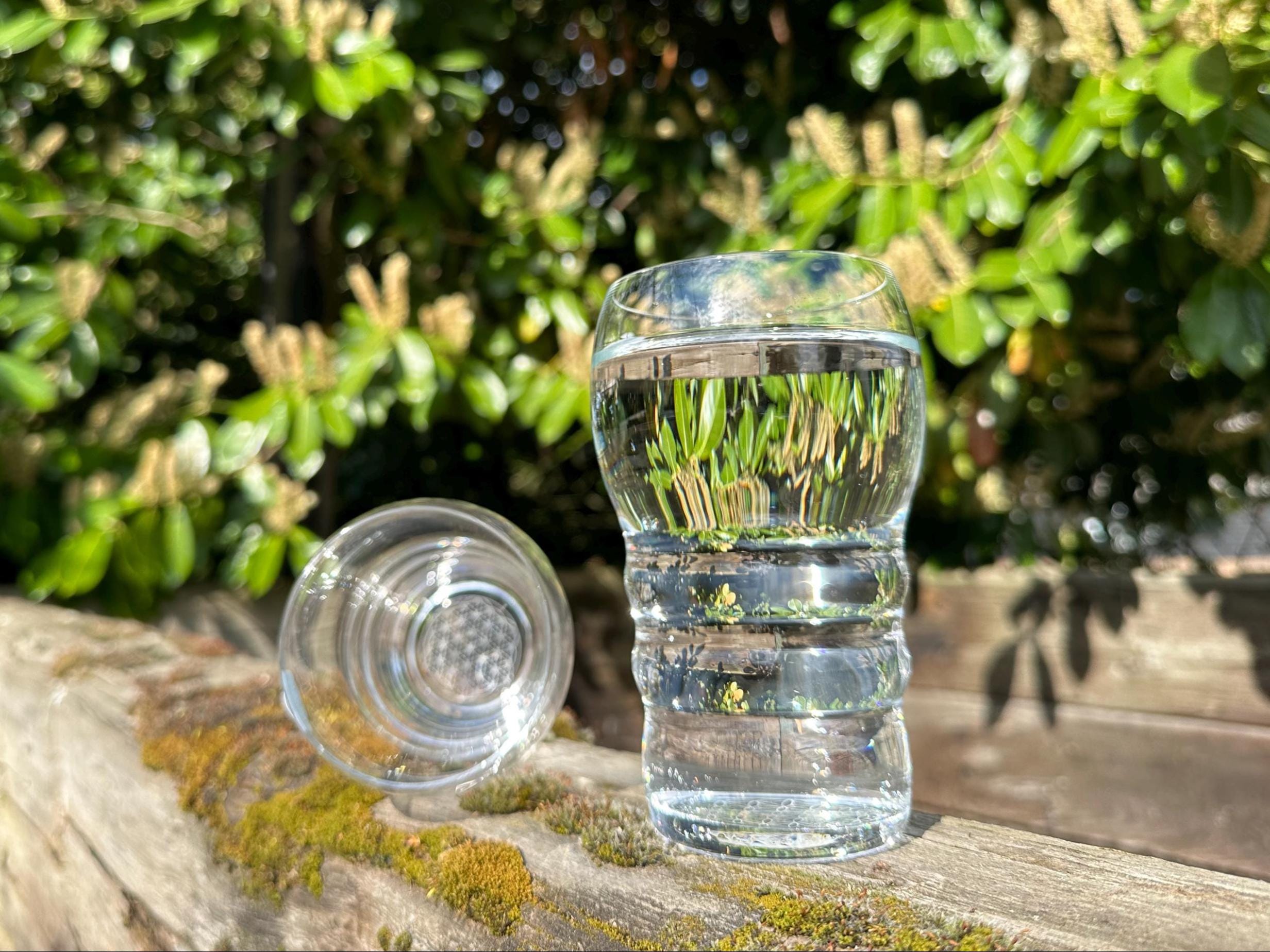 Sacred Geometry Large Glass - 500ml "Galileo"  | Golden Ratio / Flower of Life | Structure Water