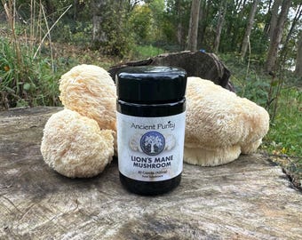 Löwenmähnenpilz - 60 x 425 mg Kapseln/ Bio | Kraftvoller Effektiver Nootropischer Pilz | Gezüchtet in Großbritannien