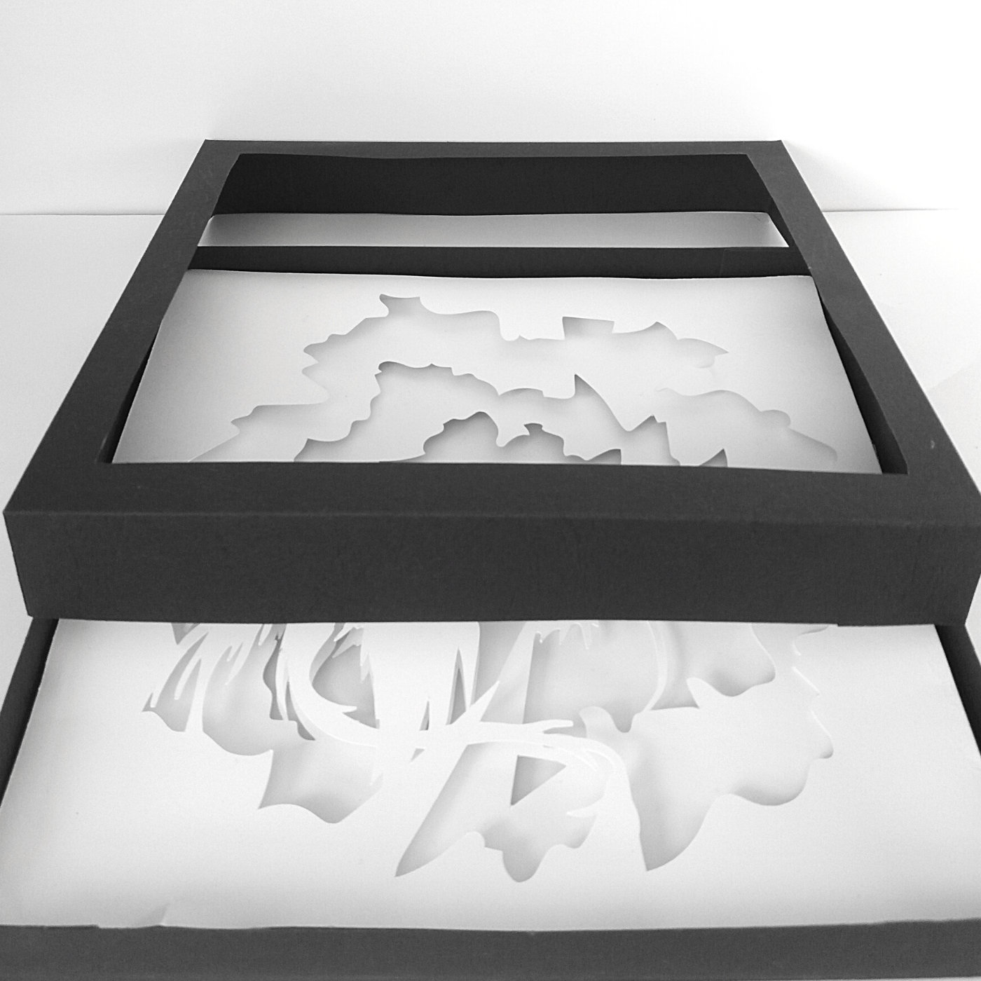 Free Free Layered Svg For Shadow Box 349 SVG PNG EPS DXF File