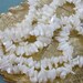 De-stash -- Mother of Pearl Chip Beads 36 inch strand