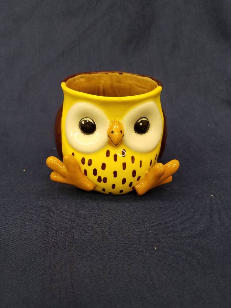 Owl Cup No Handle