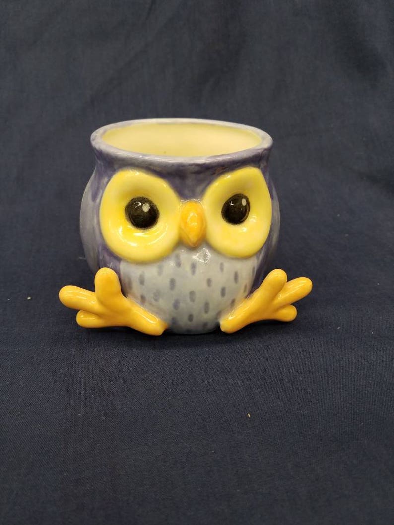 Owl cup Blue