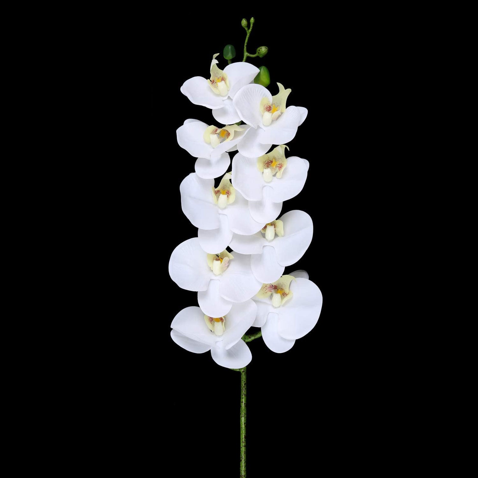 Artificial Orchid Stems Set of 3 PU Real Touch White Orchid 37 Etsy