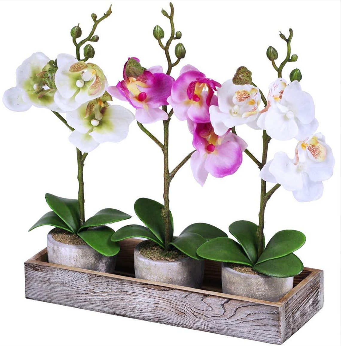 Set of 3 Fake Orchid Assortment Mini Potted Orchid Plants with Etsy