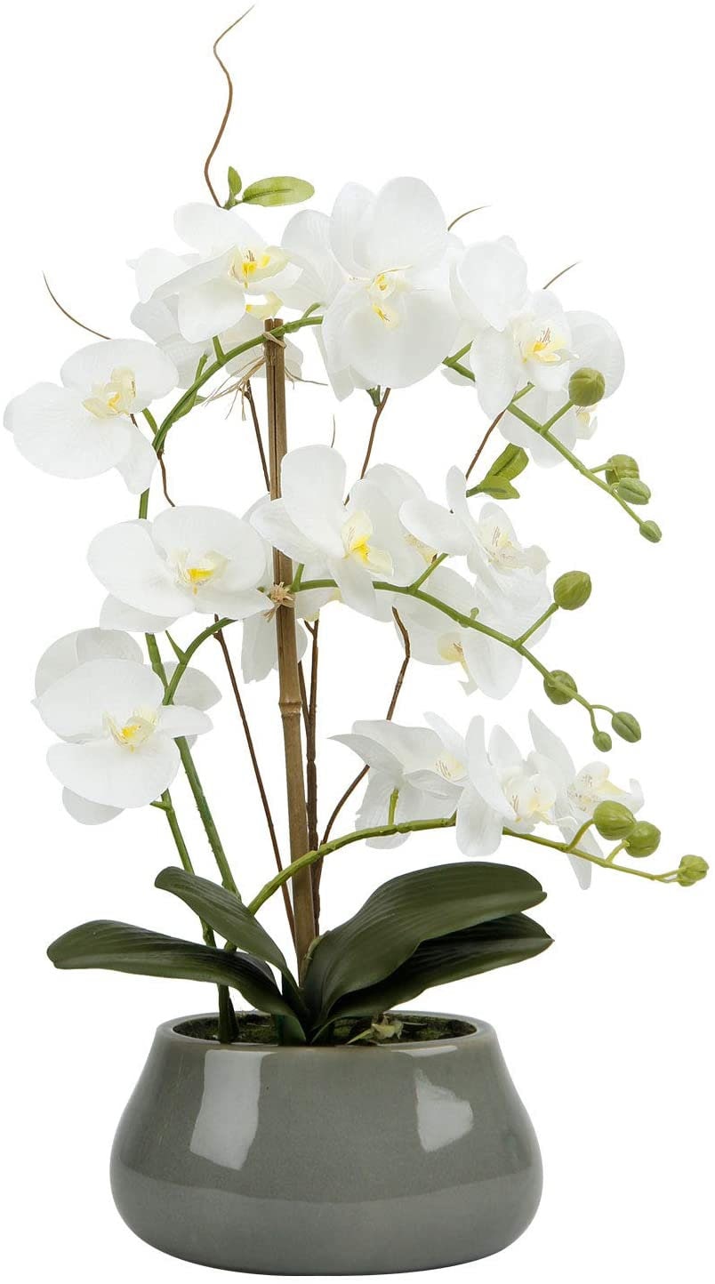 LIVILAN Faux Orchid Flowers Large Fake White Orchid Artificial Etsy