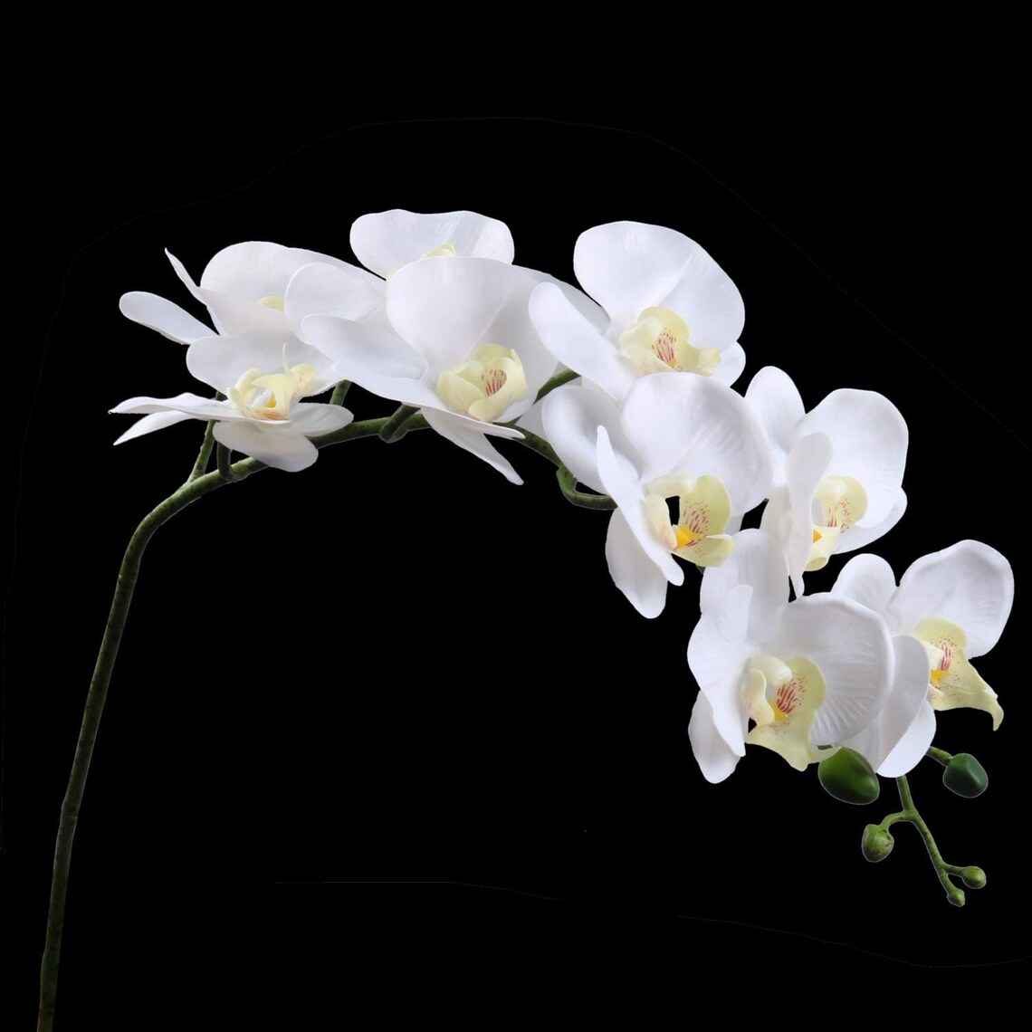 Artificial Orchid Stems Set of 3 PU Real Touch White Orchid 37 Etsy