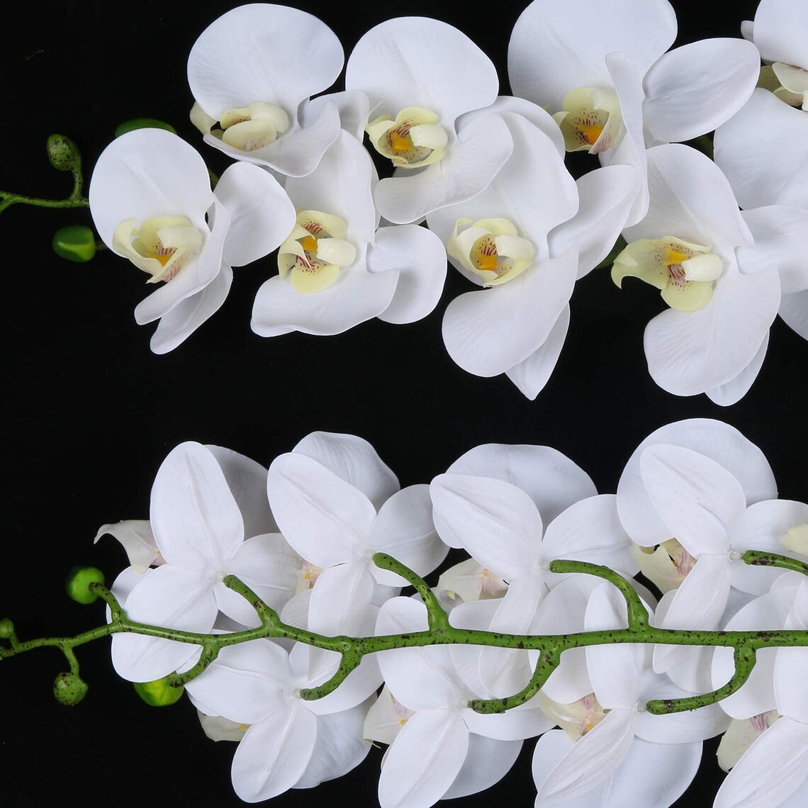 Artificial Orchid Stems Set of 3 PU Real Touch White Orchid 37 Etsy