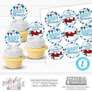 Airplane Cupcake Toppers, Airplane Cake Topper, Airplane Baby Shower Decorations, Rustic Vintage Airplane Decorations #831