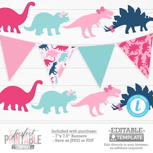 Mädchen Dinosaurier Banner, Rosa Dinosaurier Banner, Happy Birthday Banner, Baby Shower Banner, Dinosaurier Dekoration, Bunting Banner #1001