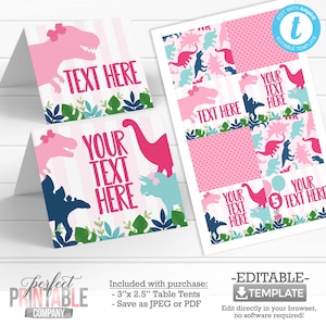Pink Dinosaur Table Tents, Girl Dinosaur Place Cards, Food Labels, Dinosaur Birthday Decorations, Pink Teal Aqua Navy #1001