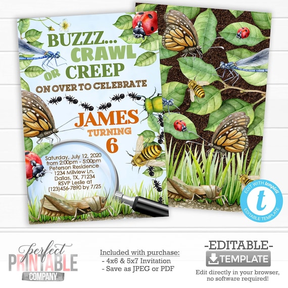 Bug Birthday Invitation, Insect Birthday Invitation, Bug Party