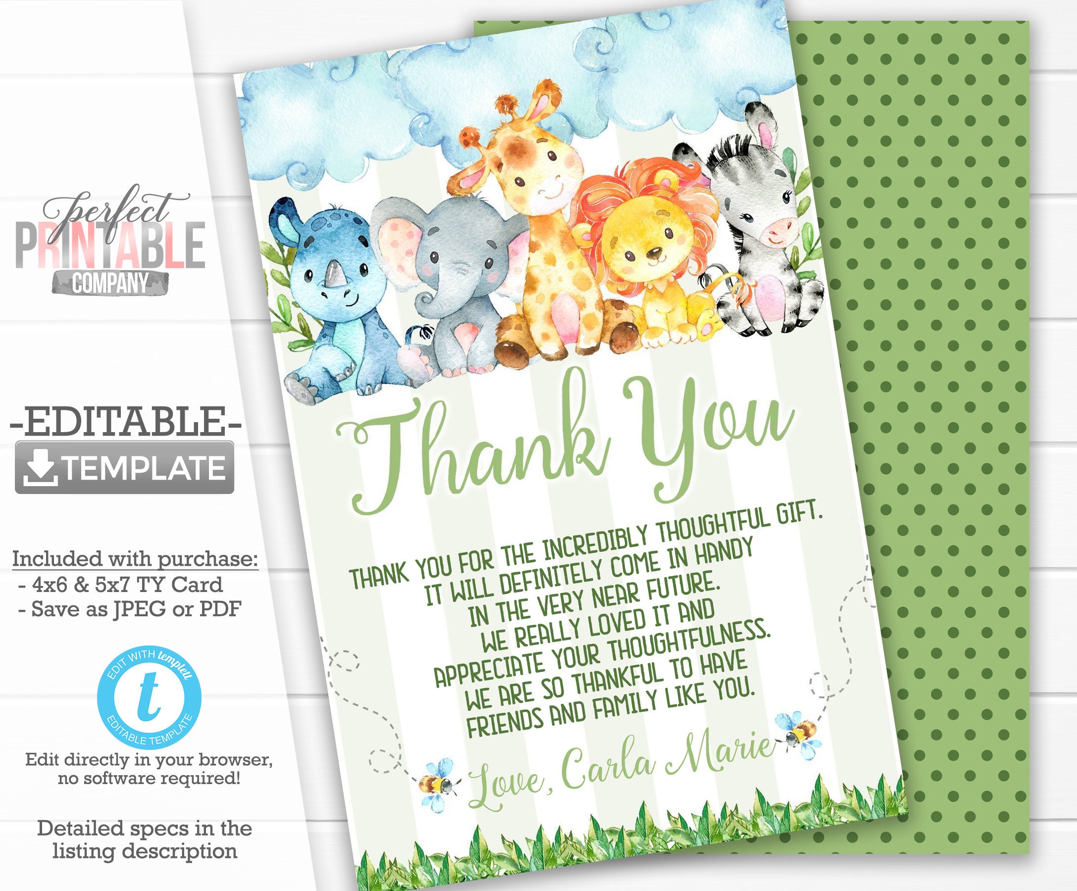 Safari Jungle Themed Birthday THANK YOU Cards with Envelopes Party Supplies 