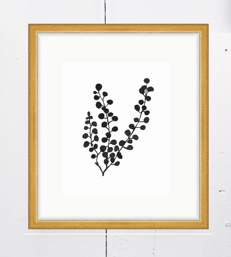 Pressed Mimosa SMc. Originals, watercolor painting, floral, modern, original artwork, silhouette, black and white art, deckled edge image 2