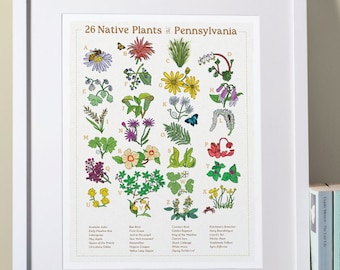 26 Native Plants of Pennsylvania - ABC Print