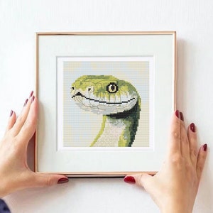 Pode incluir: Uma obra de arte de ponto cruz enquadrada apresentando uma cobra verde com um olho amarelo, olhando diretamente para o espectador.