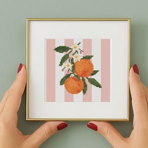 May include: A framed cross-stitch artwork showing two orange fruits with green leaves and white blossoms. The background has pink and white vertical stripes. The frame is gold-coloured.