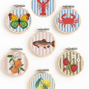 Może przedstawiać: Kolekcja siedmiu tamborków do haftu krzyżykowego. Każdy tamborek przedstawia inny wzór: motyla, homara, kraba, rybę, pomarańcze, truskawki i cytryny. Tła mają wzory w paski w różnych kolorach.